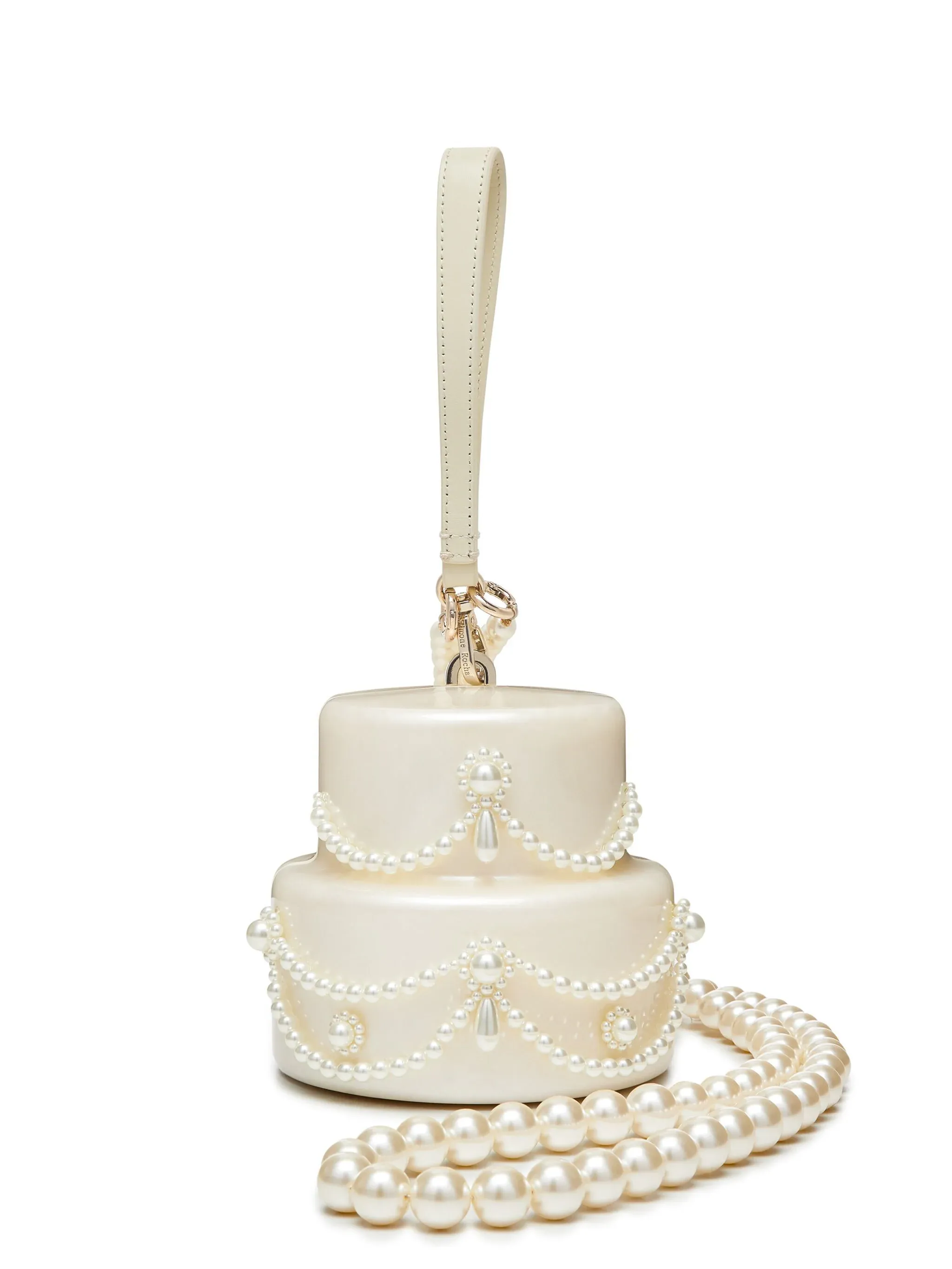 Beaded Frosting Cake Bag