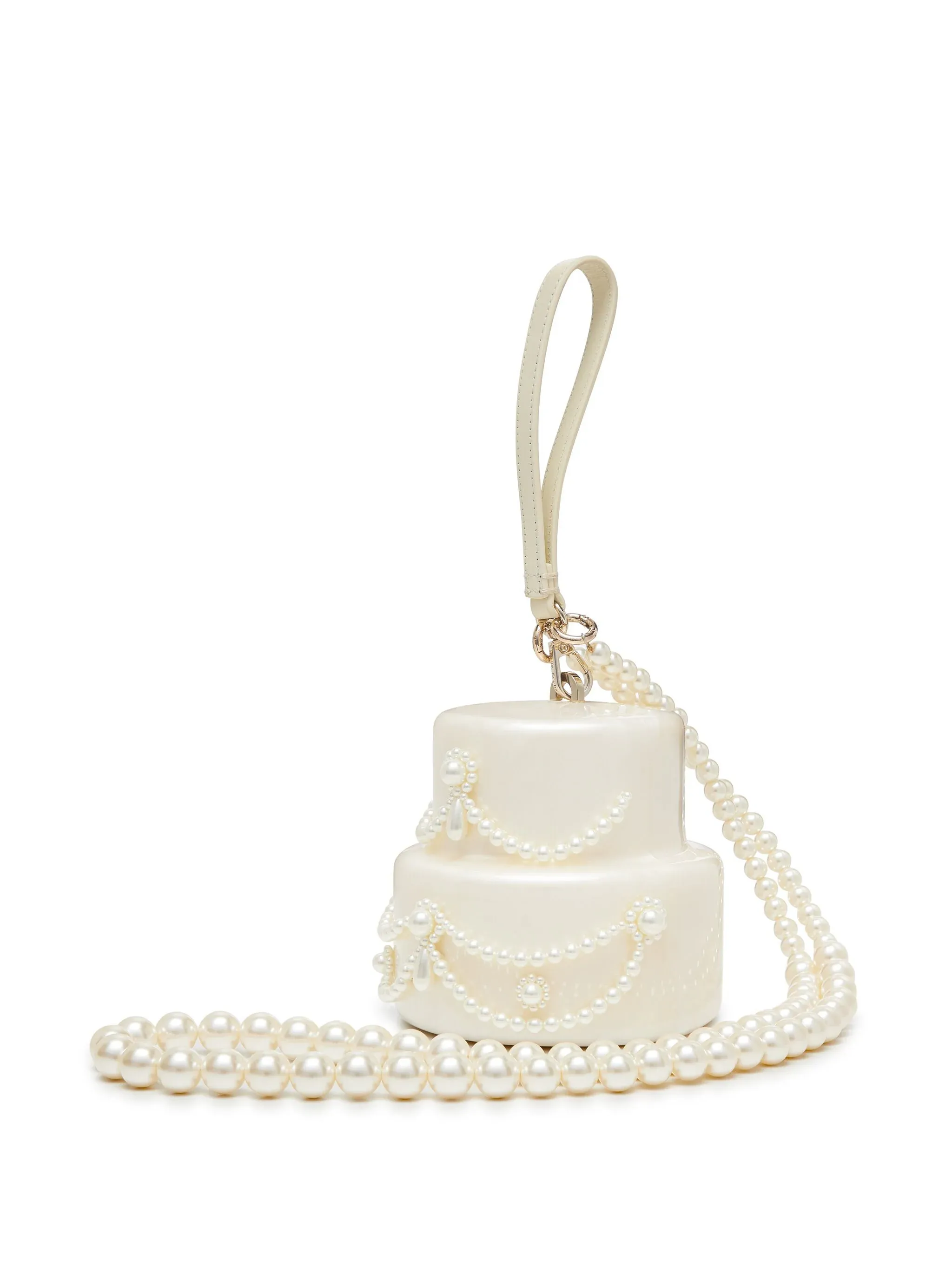 Beaded Frosting Cake Bag