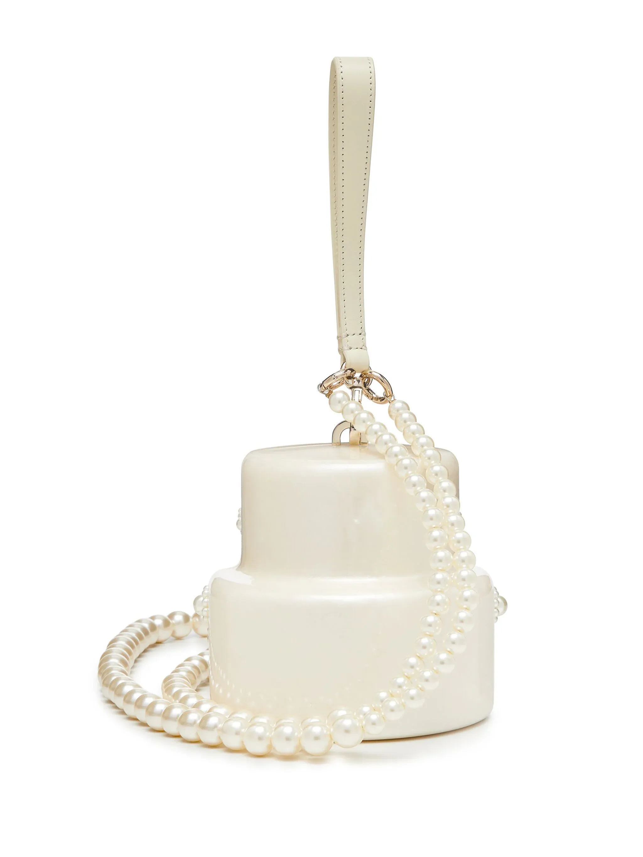 Beaded Frosting Cake Bag